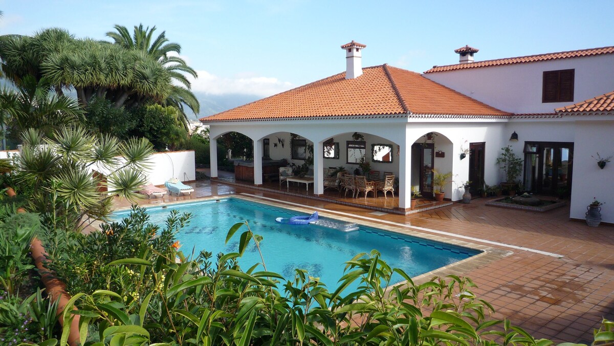 Sunny pool area at Casa Feliz